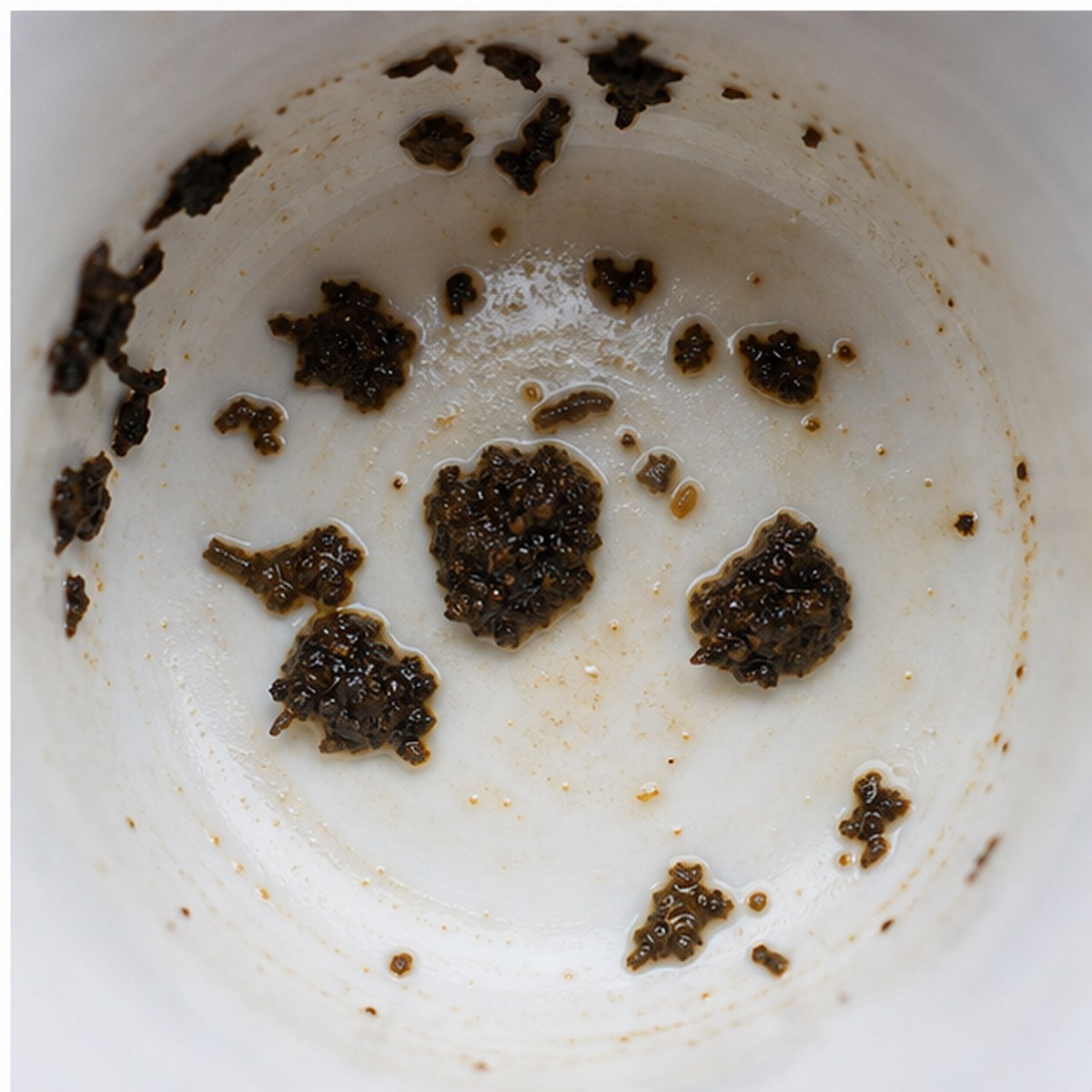 Plums tea leaves cup variation three