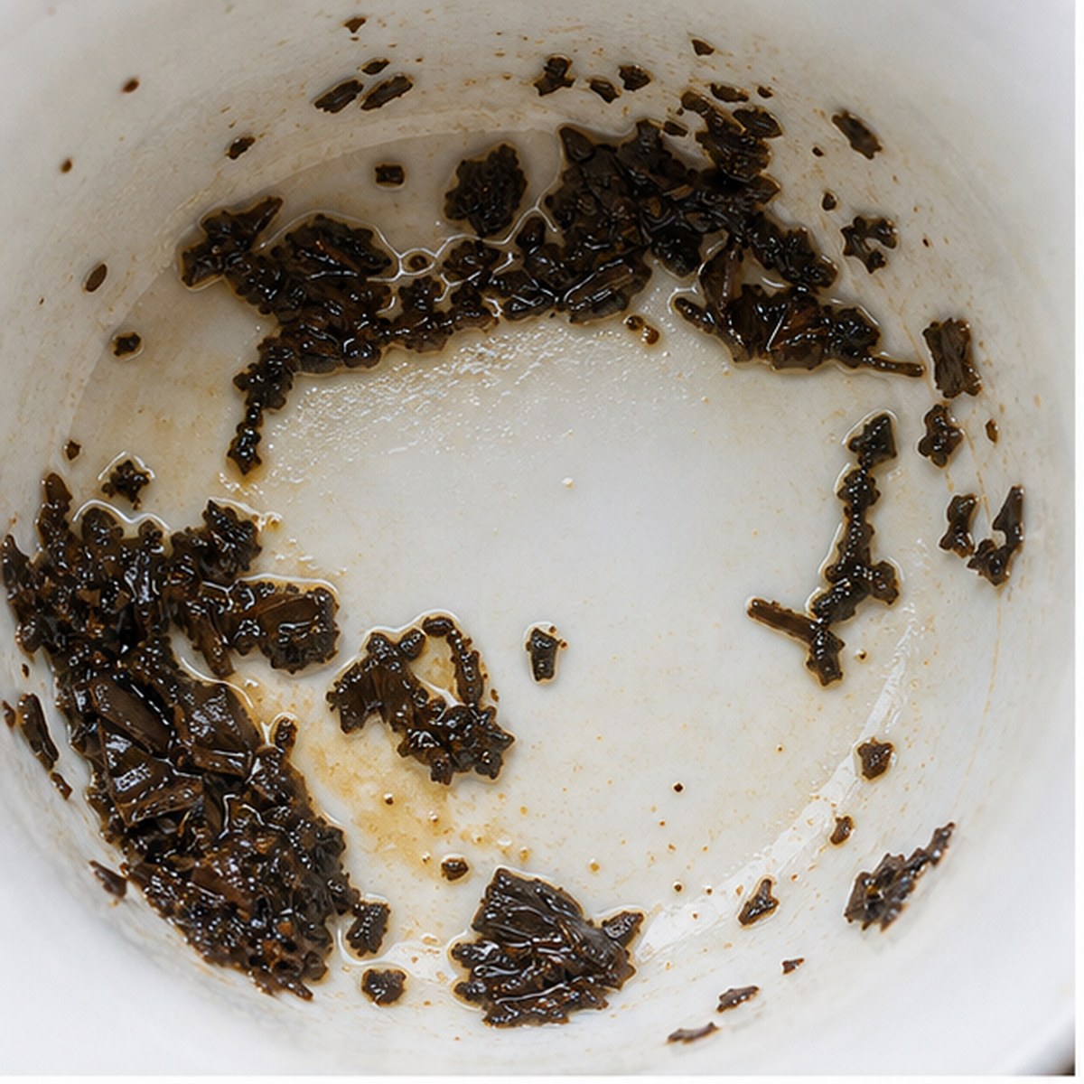 Polar Bear tea leaf reading cup example