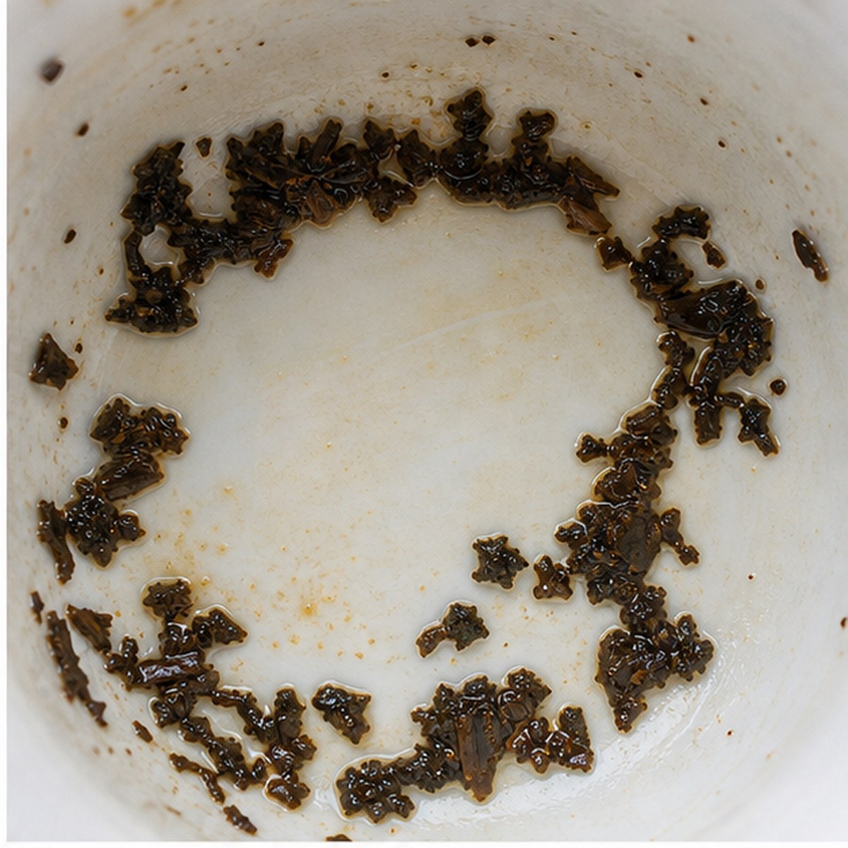 Polar Bear tea leaves cup variation one