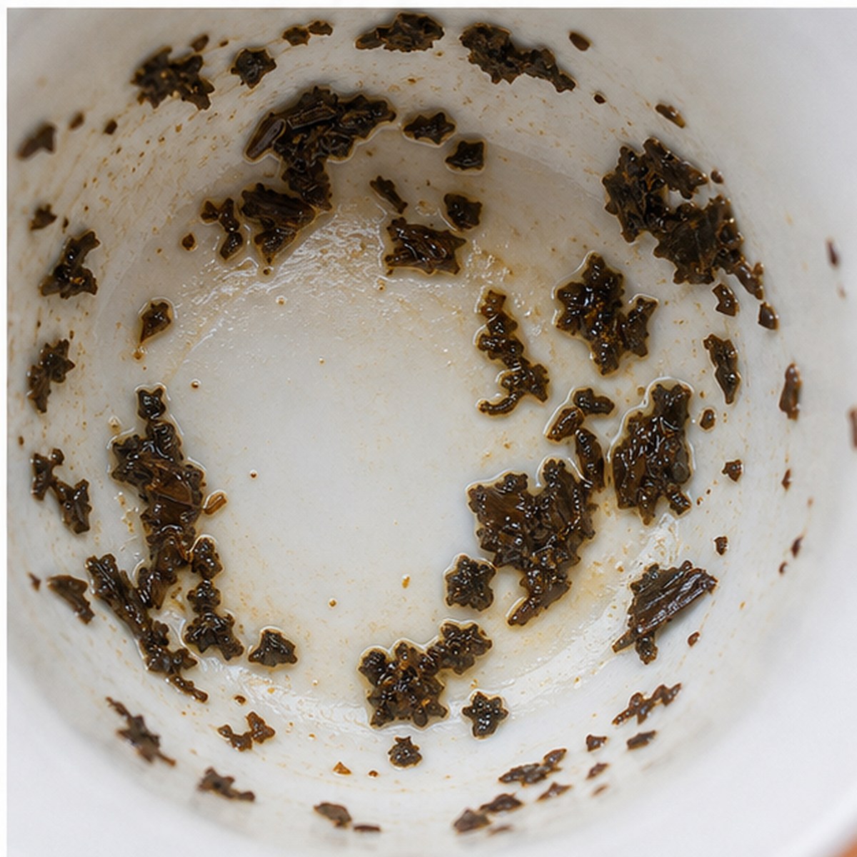 Polar Bear tea leaves cup variation three