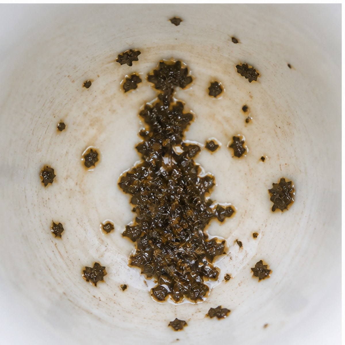 Pope tea leaves cup variation two