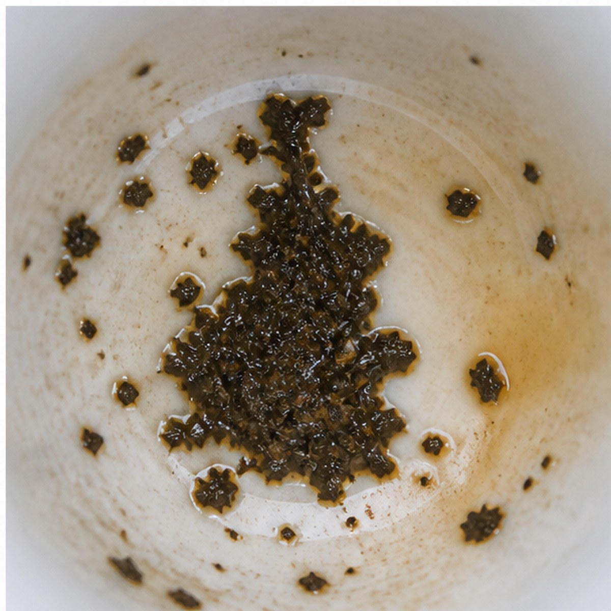 Pope tea leaves cup variation three