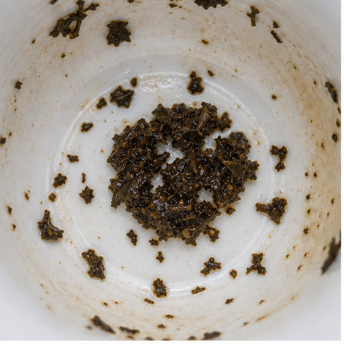 Poppy tea leaf reading cup example