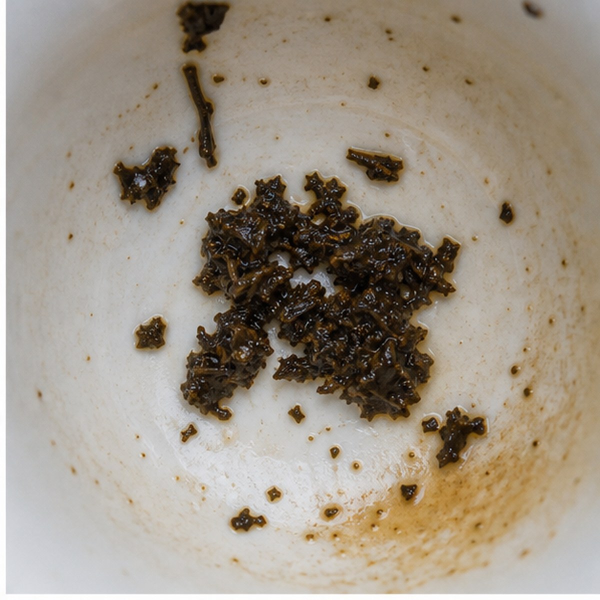 Poppy tea leaves cup variation one