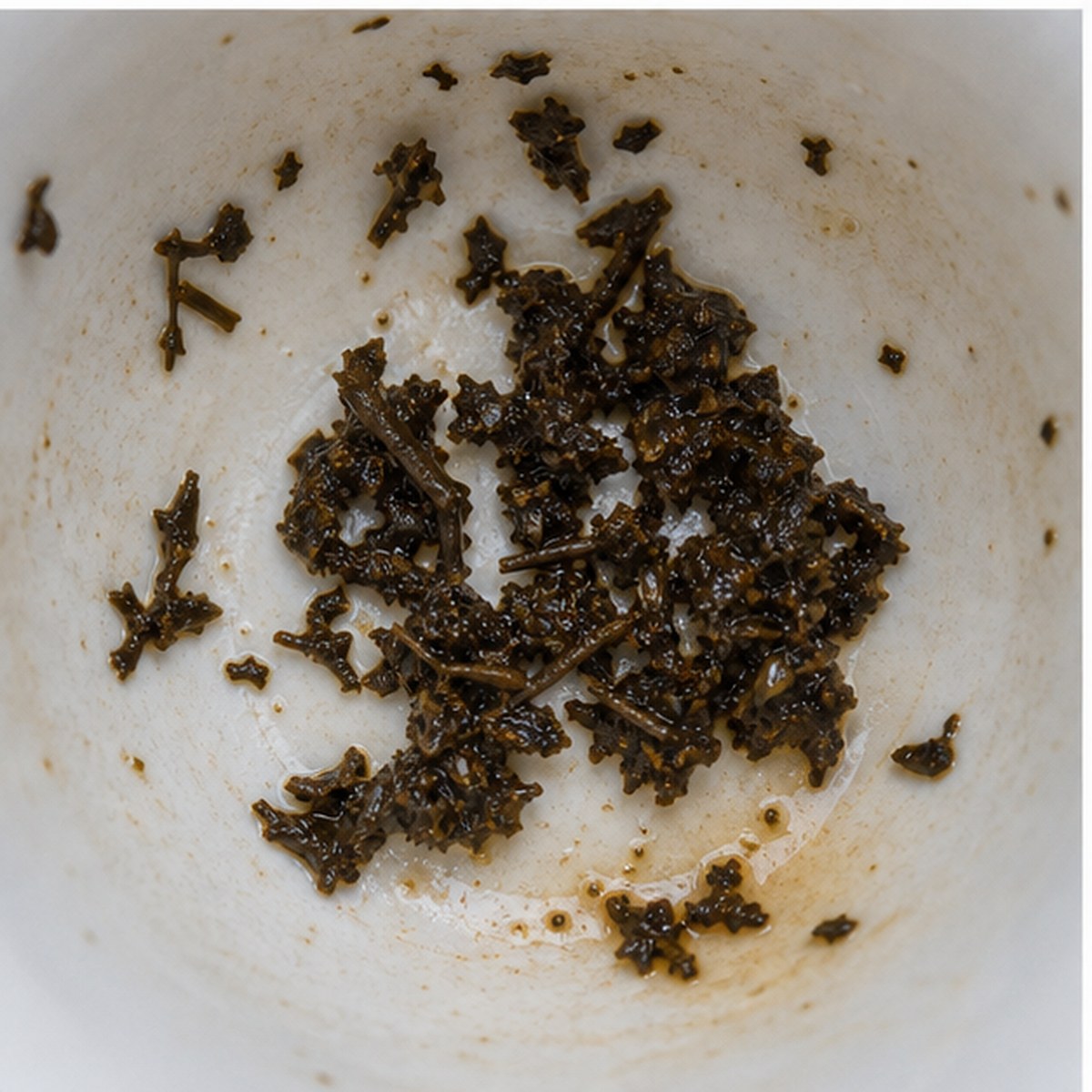 Poppy tea leaves cup variation two