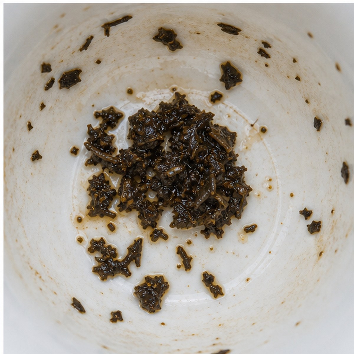 Poppy tea leaves cup variation three