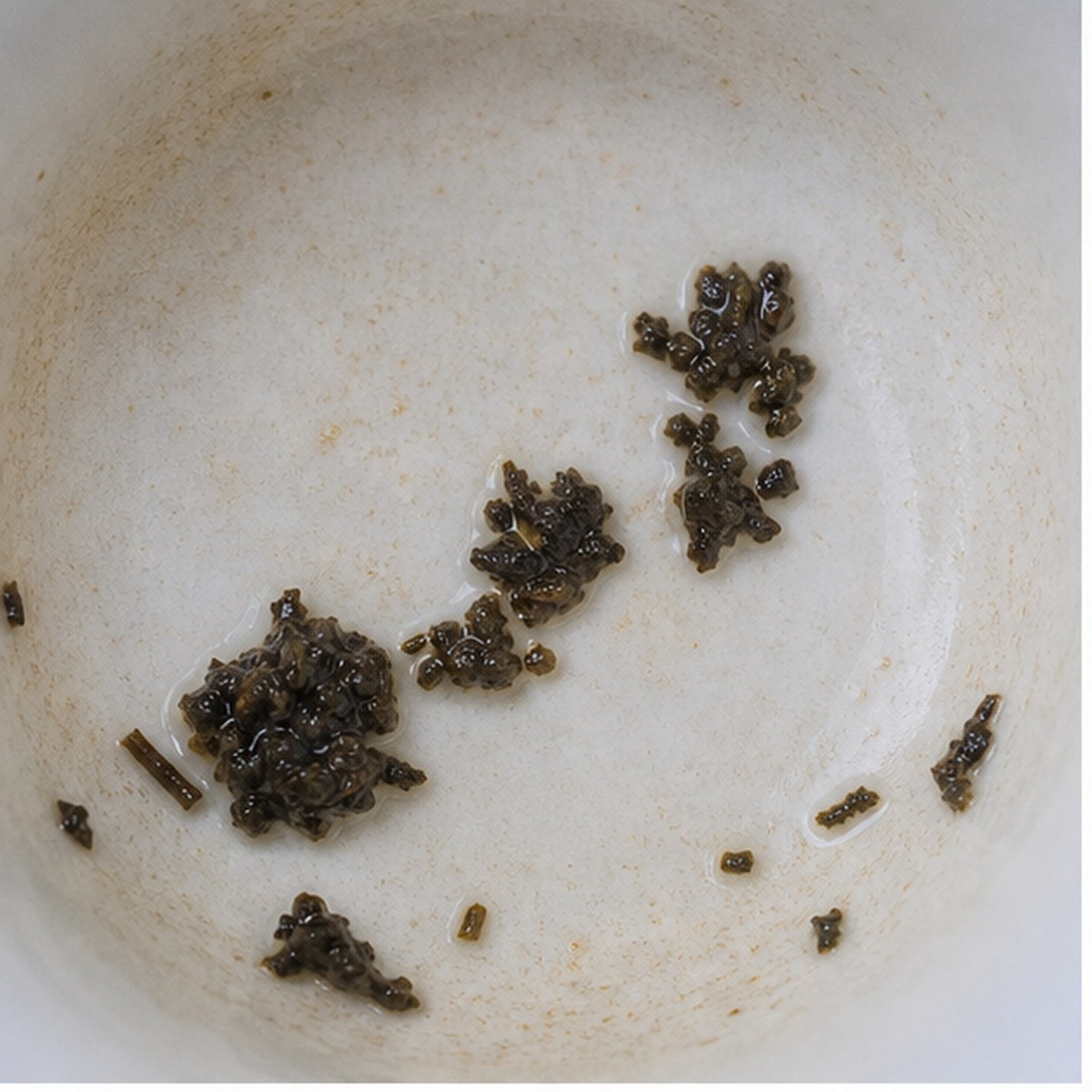 Prancing Lamb tea leaf reading cup example