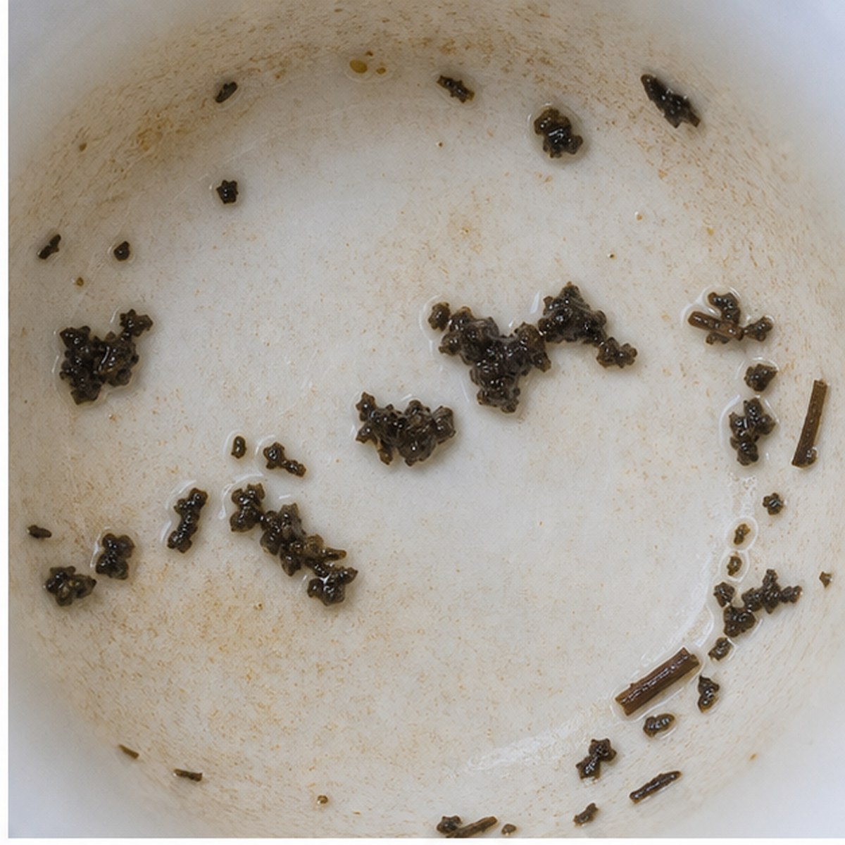 Prancing Lamb tea leaves cup variation one