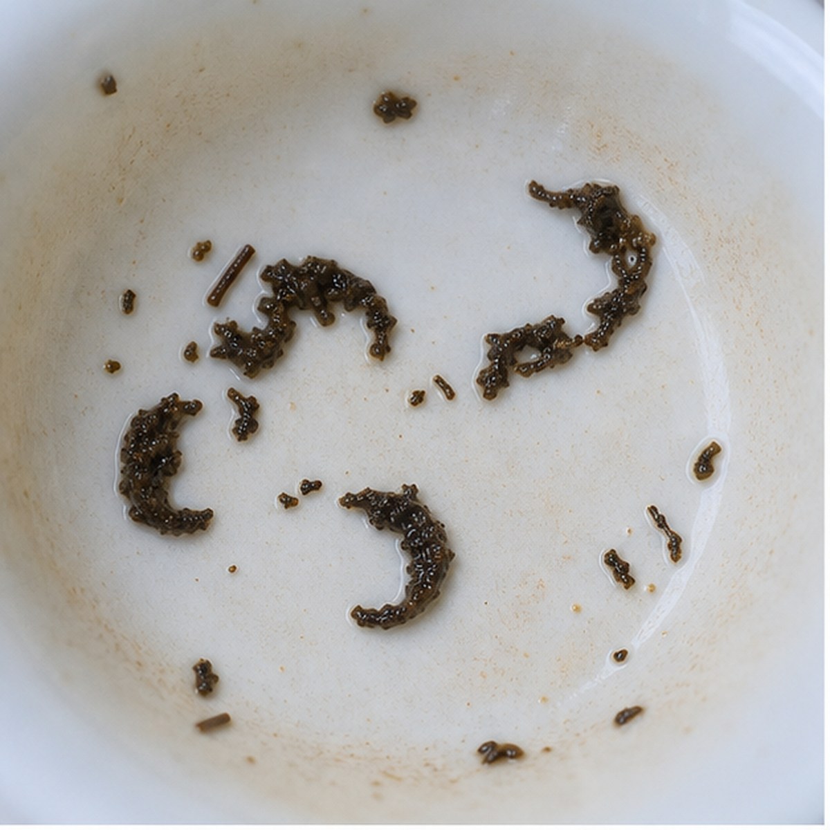 Prawns tea leaf reading cup example