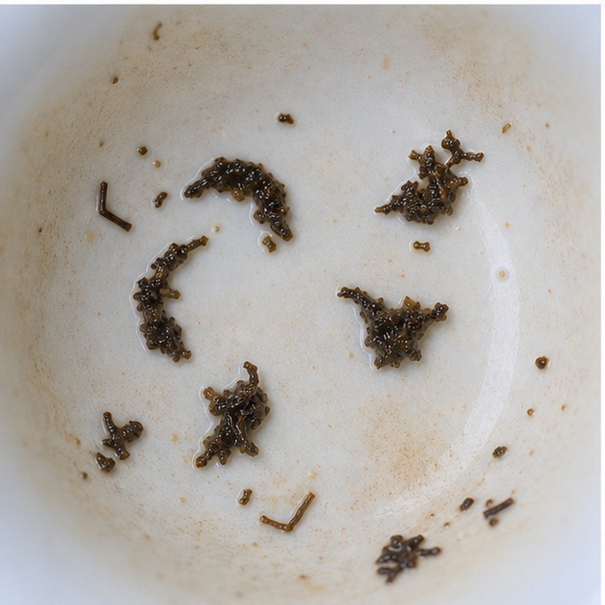 Prawns tea leaves cup variation two