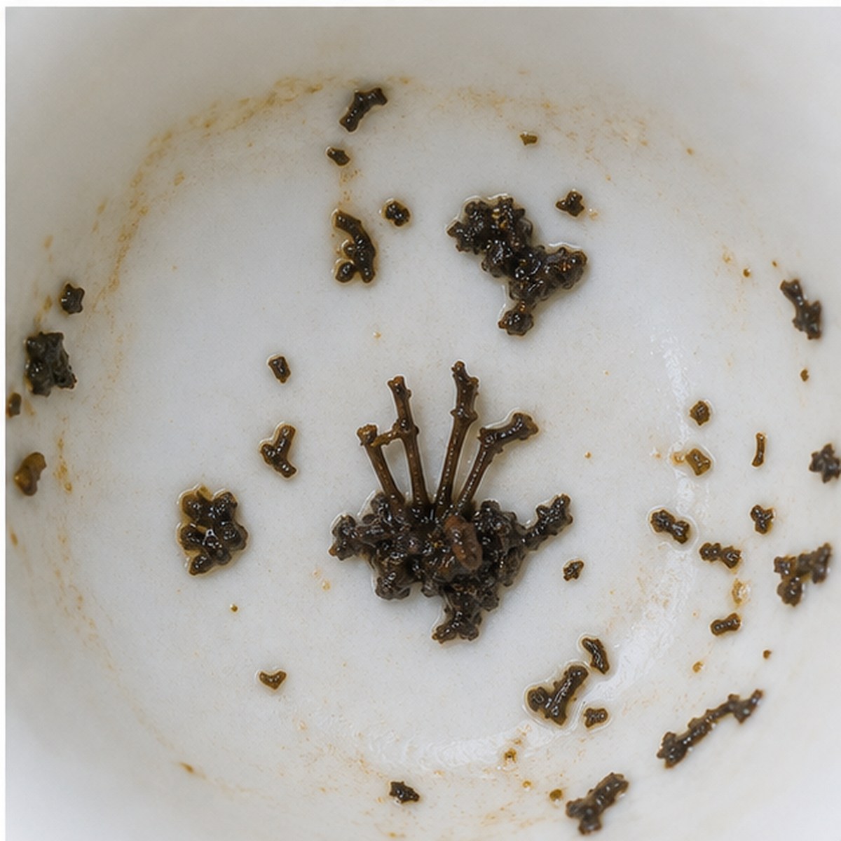 Prince Of Wales' Plumes tea leaves cup variation three