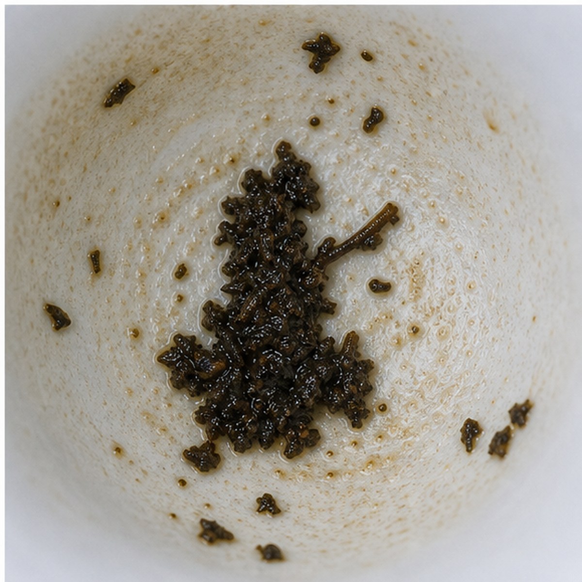 Pump tea leaves cup variation three