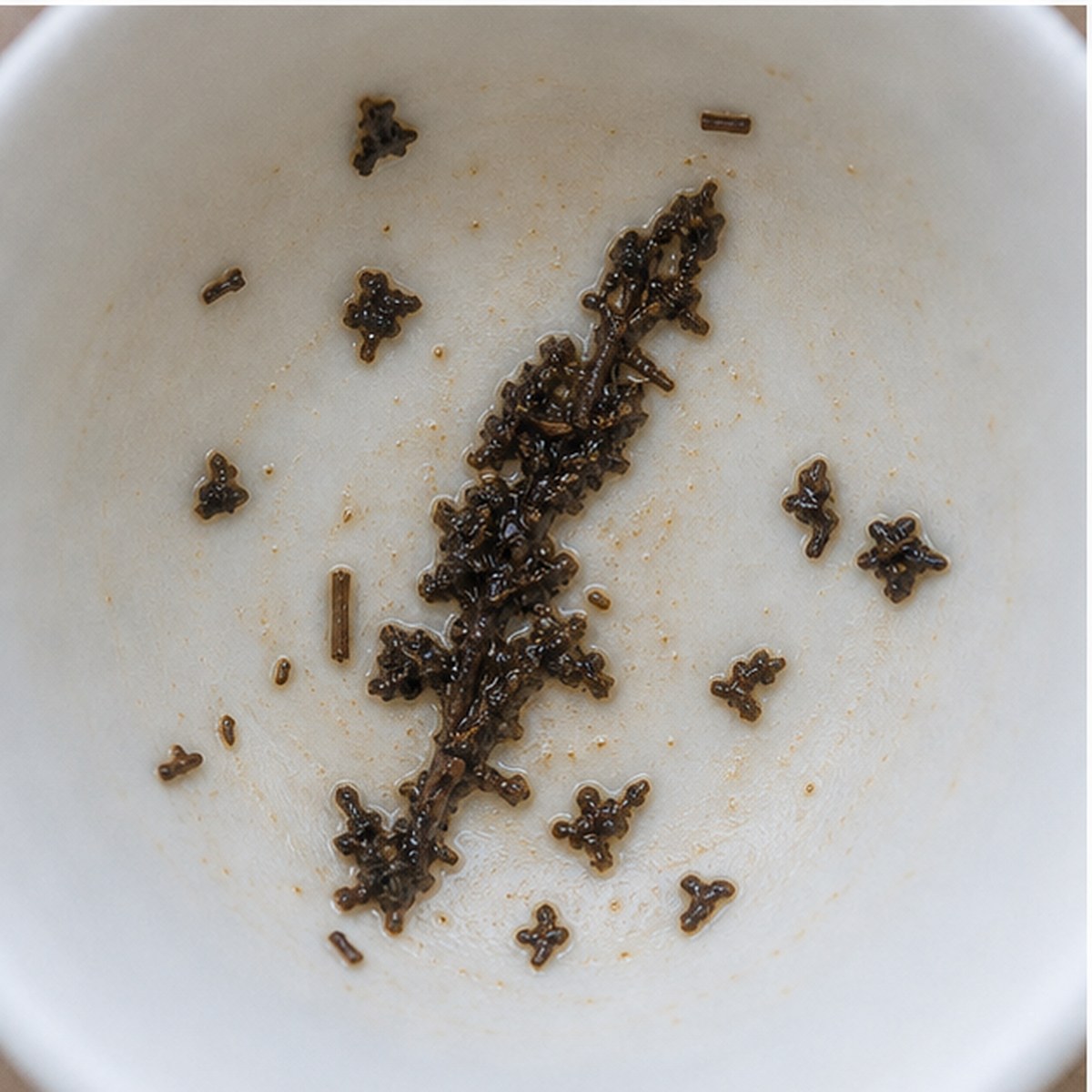 Quill Pen tea leaves cup variation two