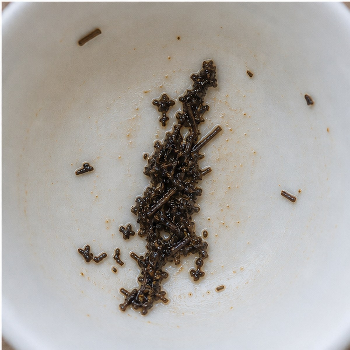 Quill Pen tea leaves cup variation three
