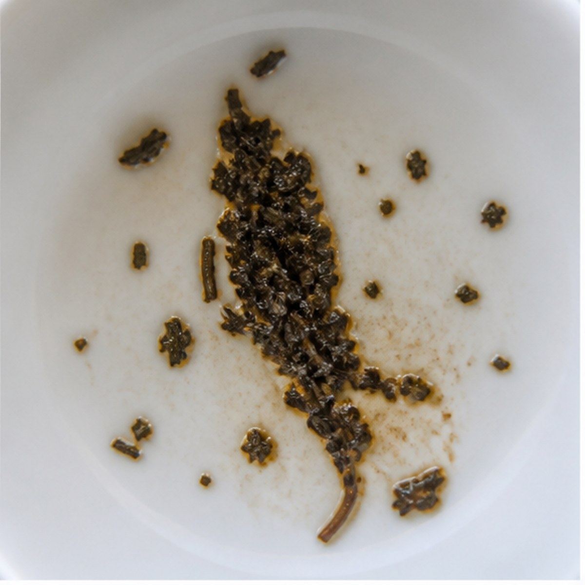 Red-Hot Poker tea leaf reading cup example