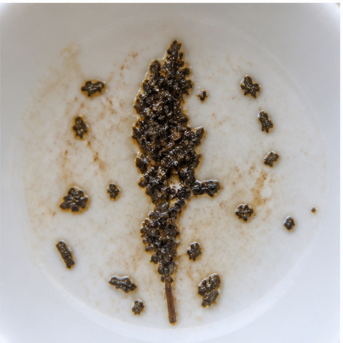Red-Hot Poker tea leaves cup variation two