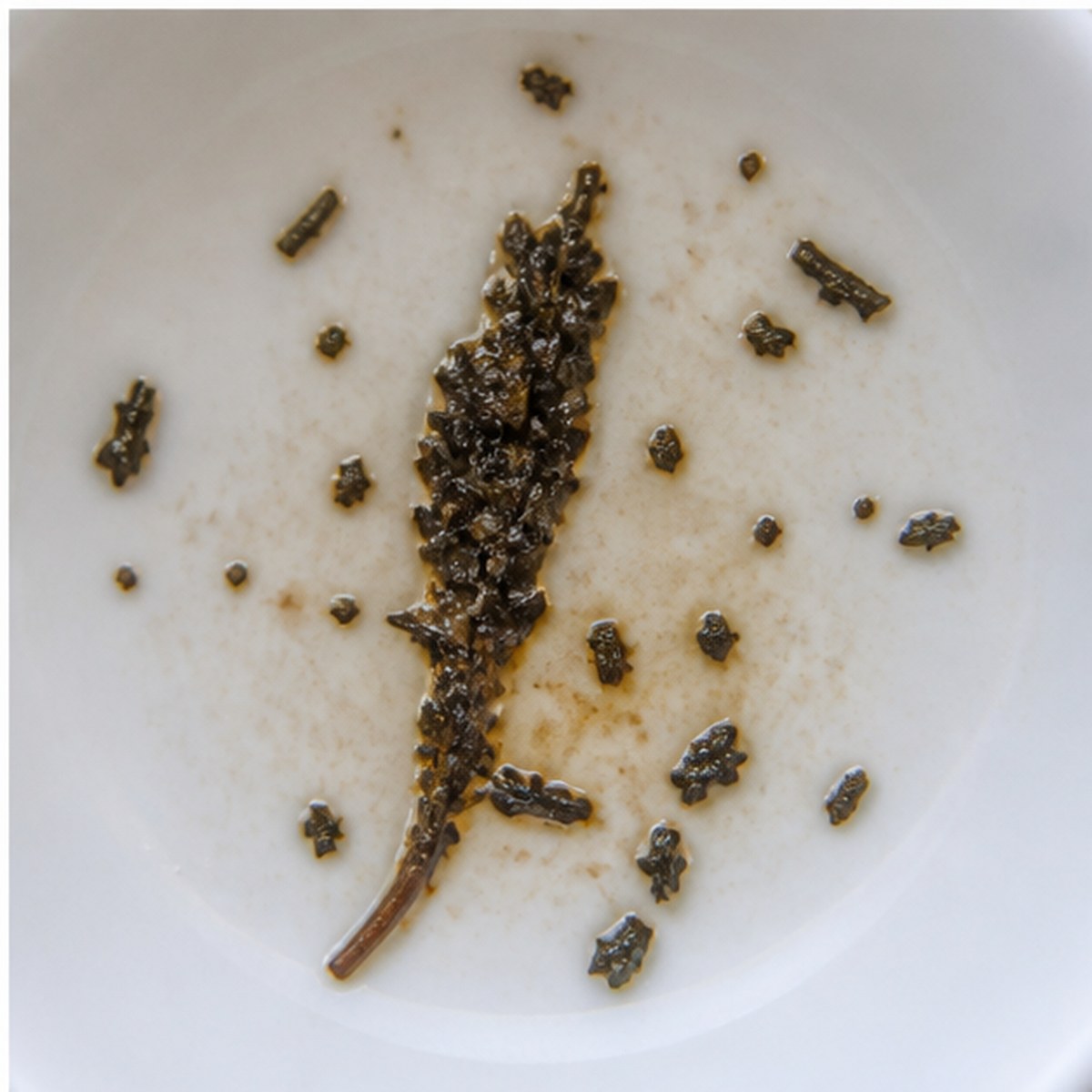 Red-Hot Poker tea leaves cup variation three