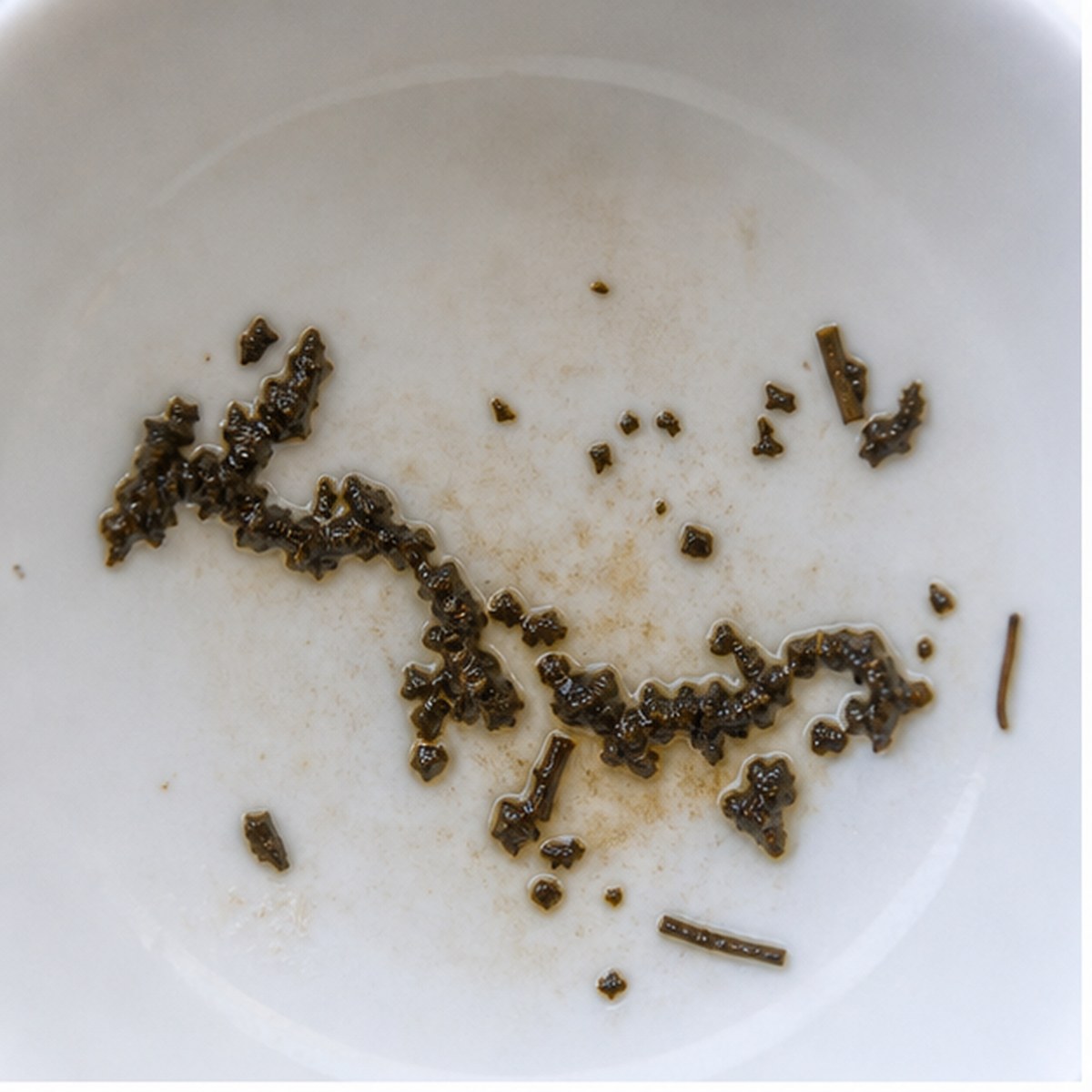 Reptile tea leaf reading cup example
