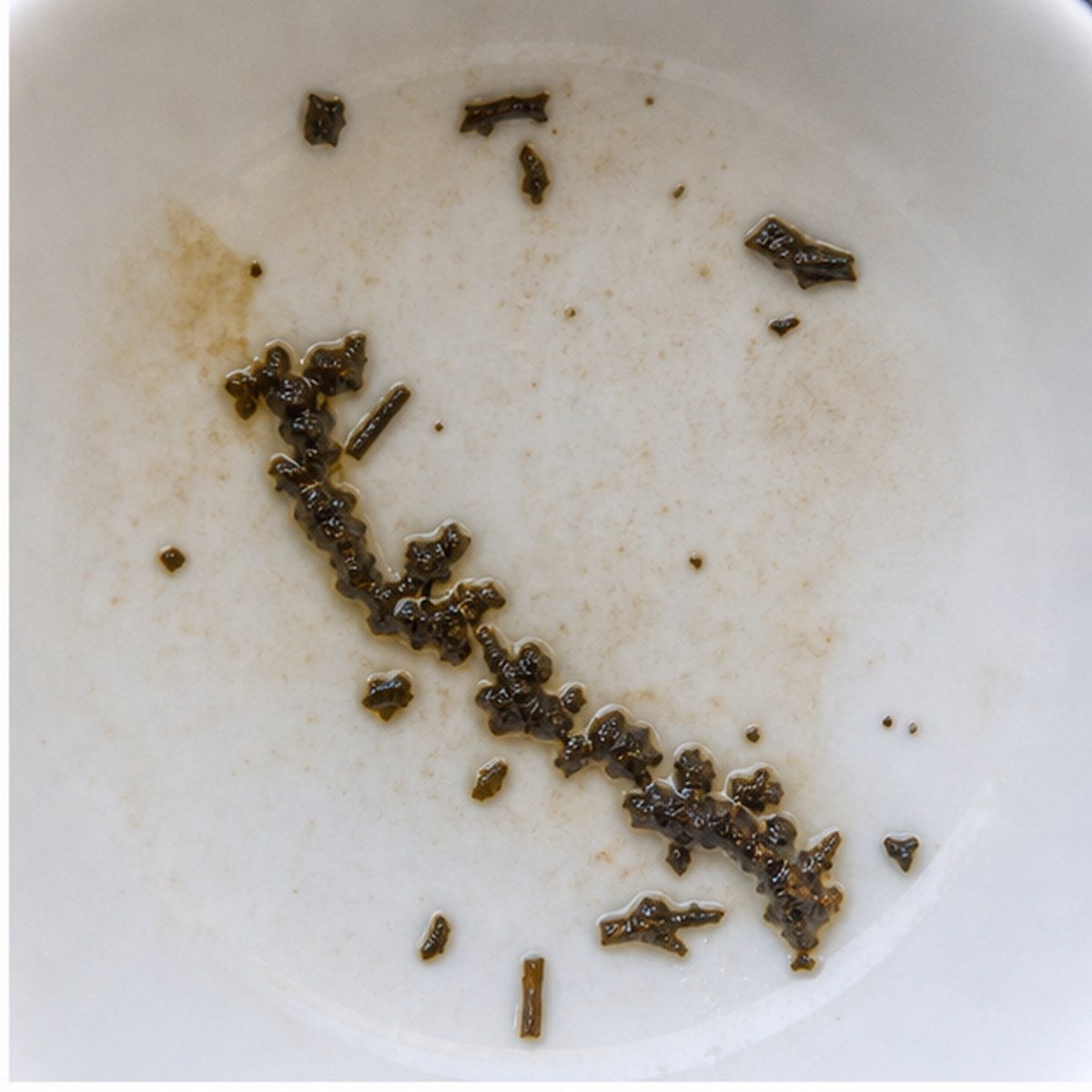 Reptile tea leaves cup variation one