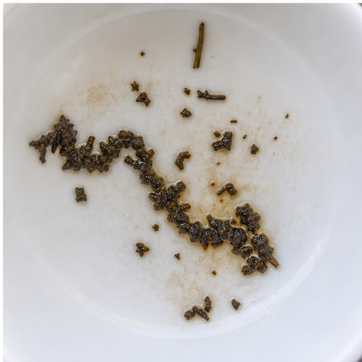 Reptile tea leaves cup variation three