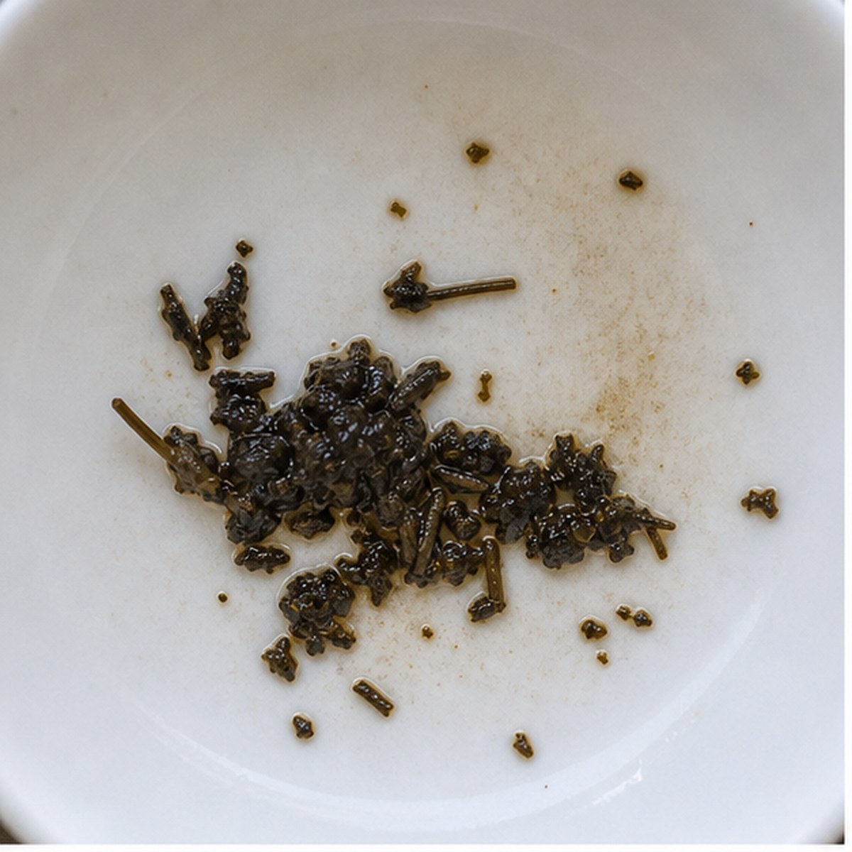 Rhinoceros tea leaf reading cup example