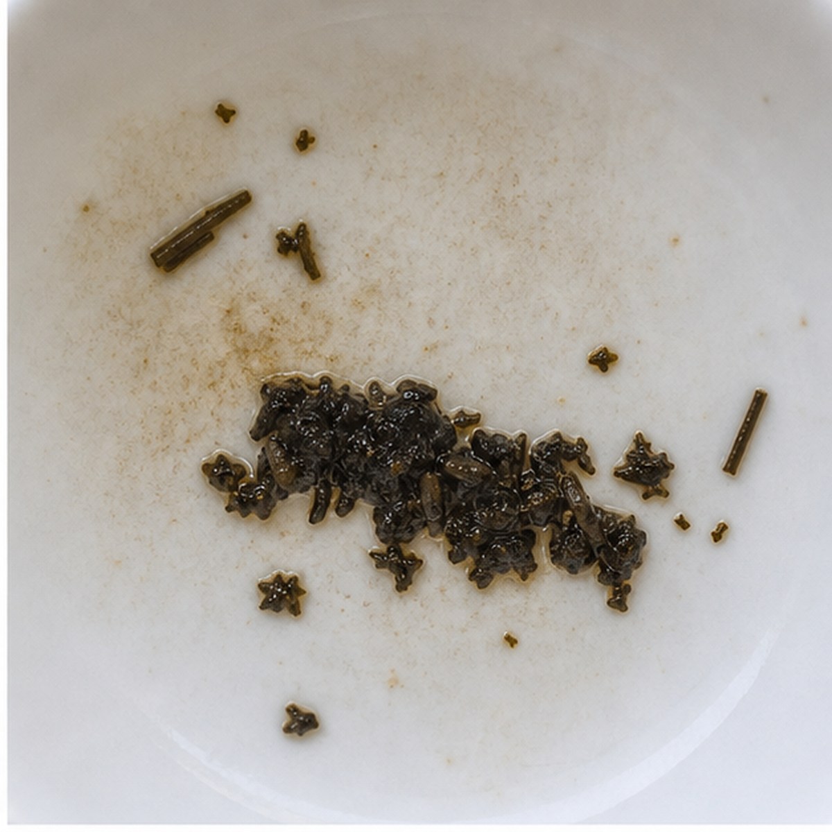 Rhinoceros tea leaves cup variation one
