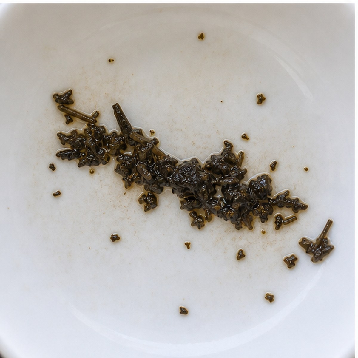Rhinoceros tea leaves cup variation two
