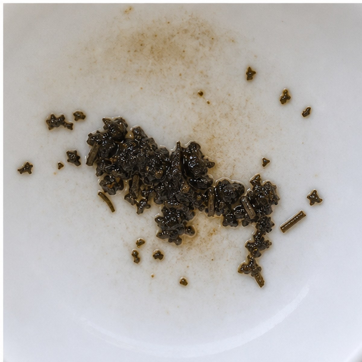 Rhinoceros tea leaves cup variation three