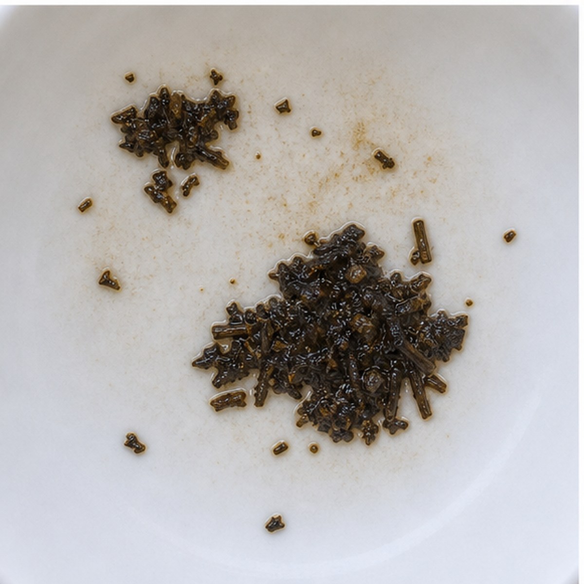 Rider tea leaves cup variation two