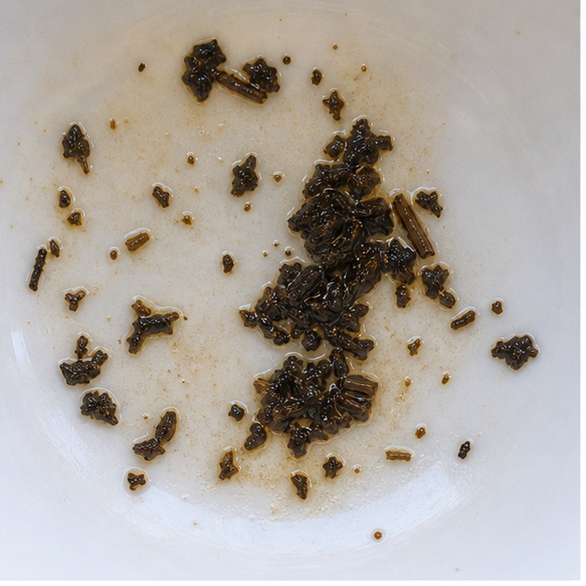 Robin tea leaf reading cup example