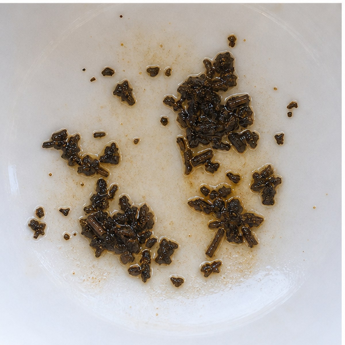 Robin tea leaves cup variation two