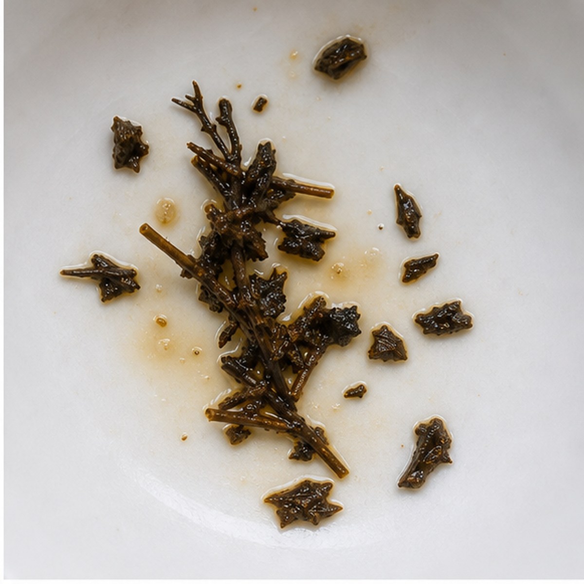 Rosemary tea leaves cup variation one