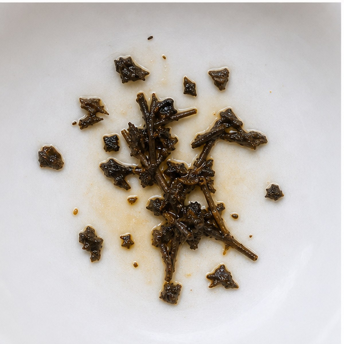 Rosemary tea leaves cup variation two