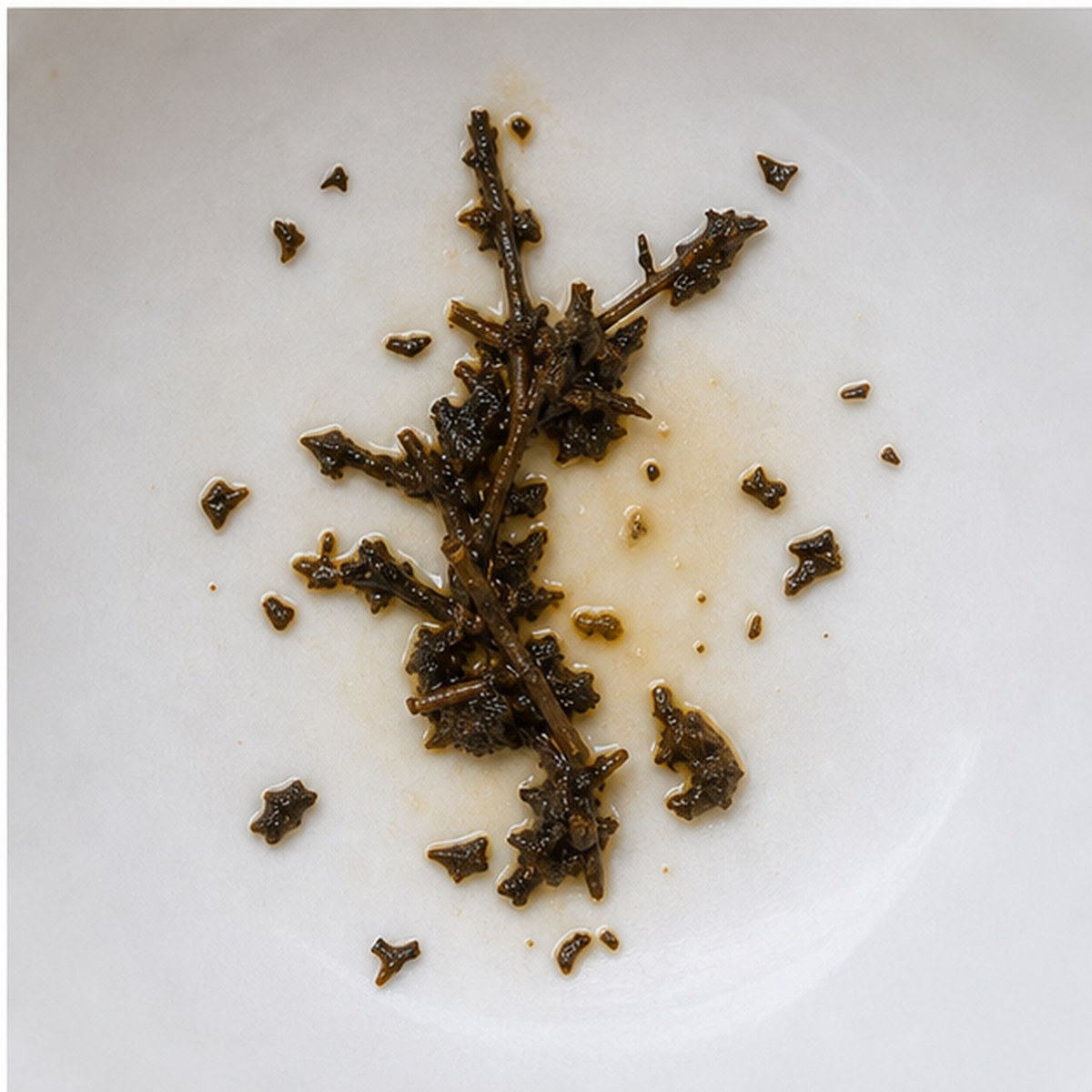 Rosemary tea leaves cup variation three