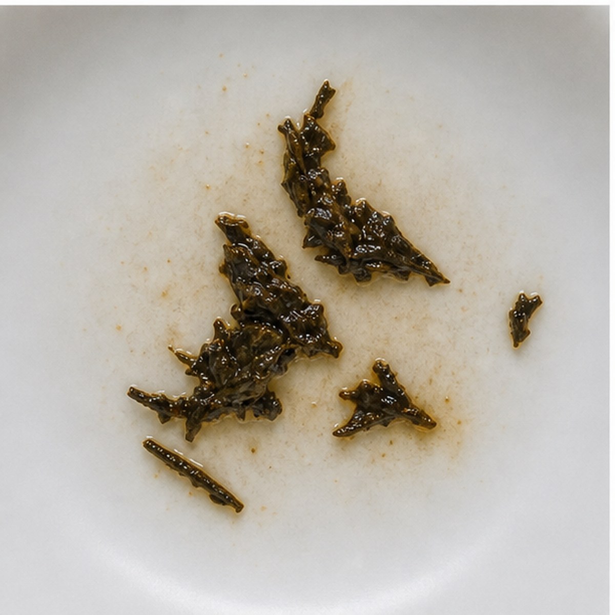 Sailor tea leaves cup variation two