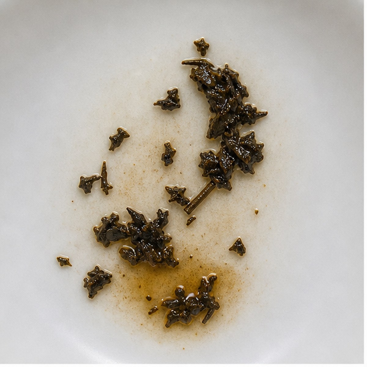 Salmon Jumping In A Pool tea leaf reading cup example