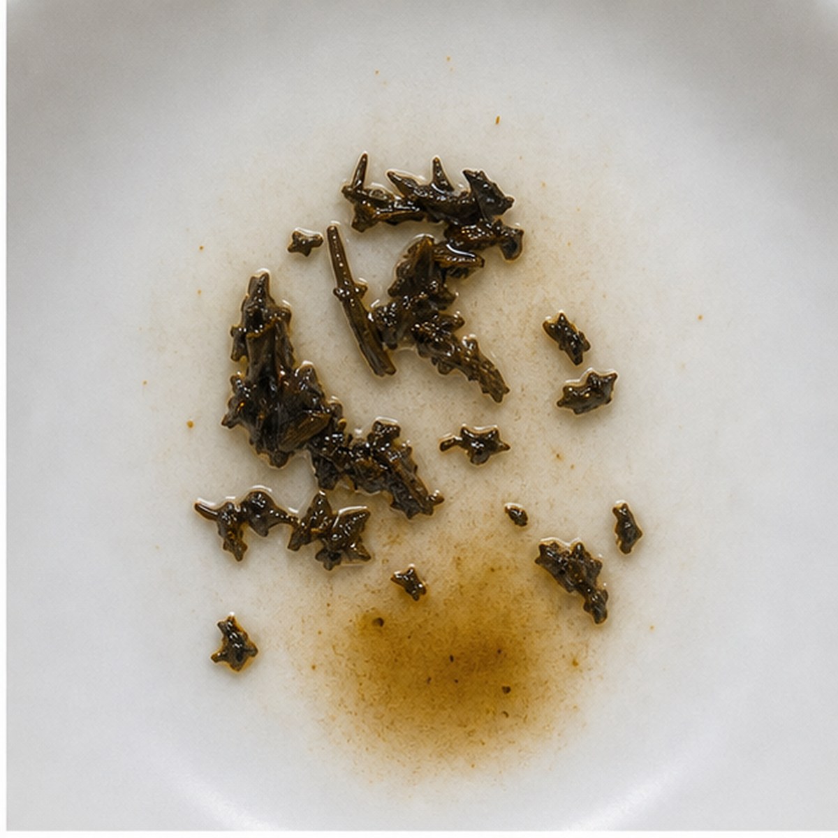 Salmon Jumping In A Pool tea leaves cup variation one