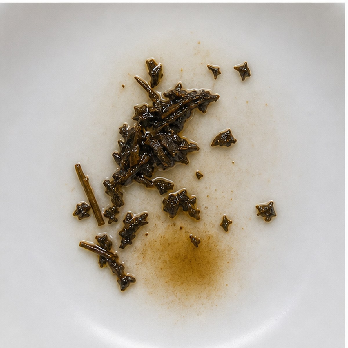 Salmon Jumping In A Pool tea leaves cup variation two