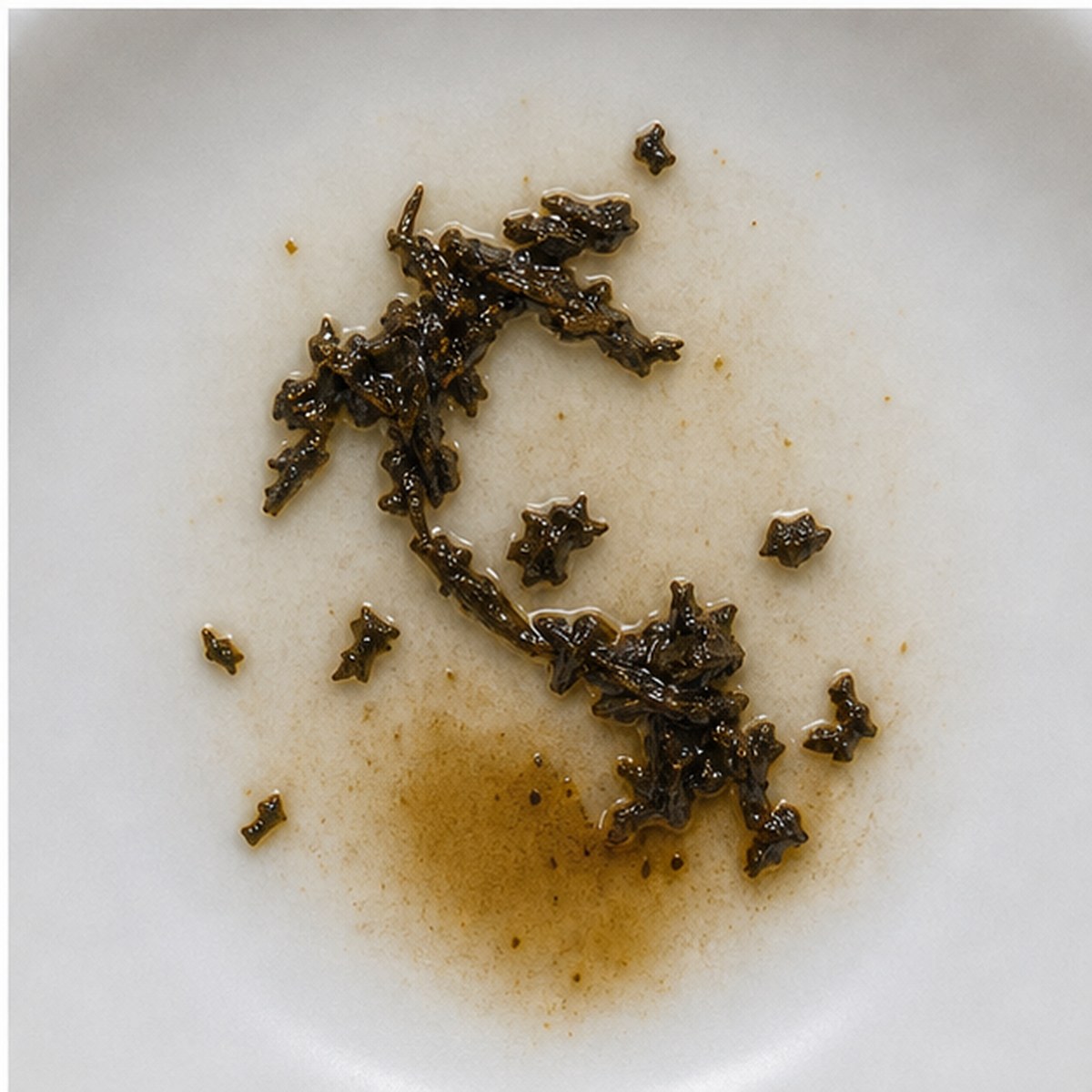 Salmon Jumping In A Pool tea leaves cup variation three