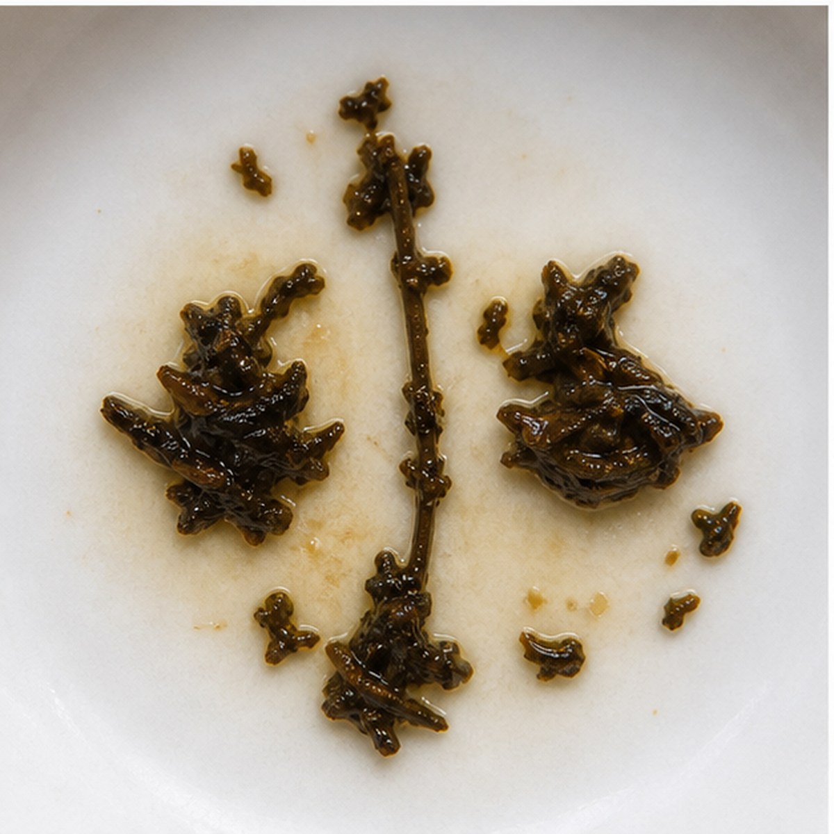 Scales tea leaves cup variation two