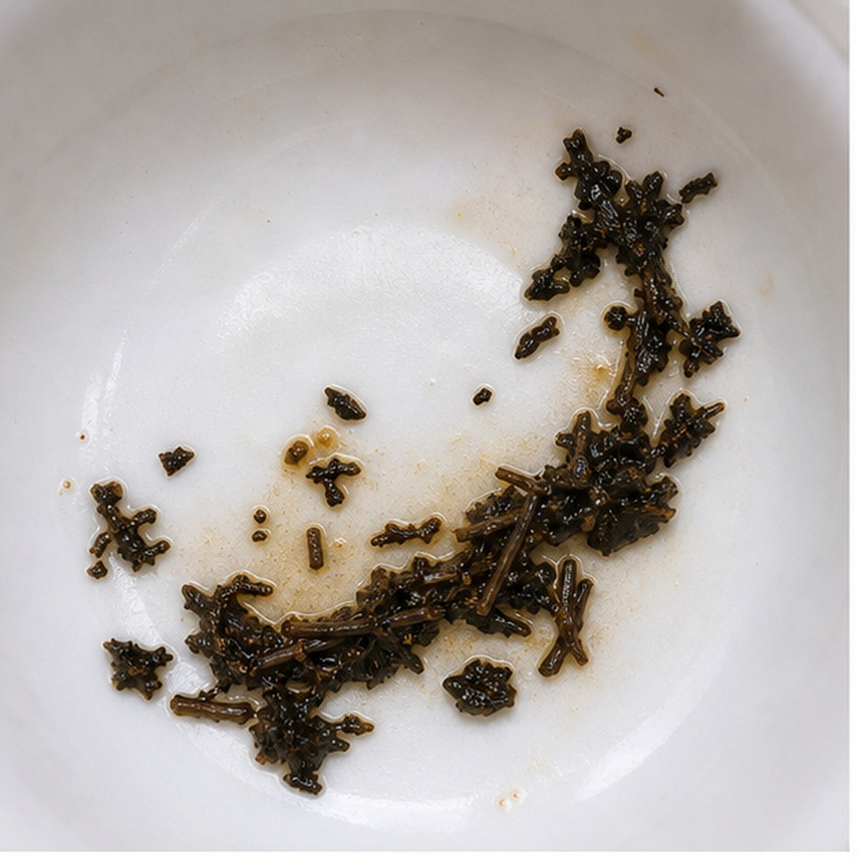 Scimitar tea leaf reading cup example