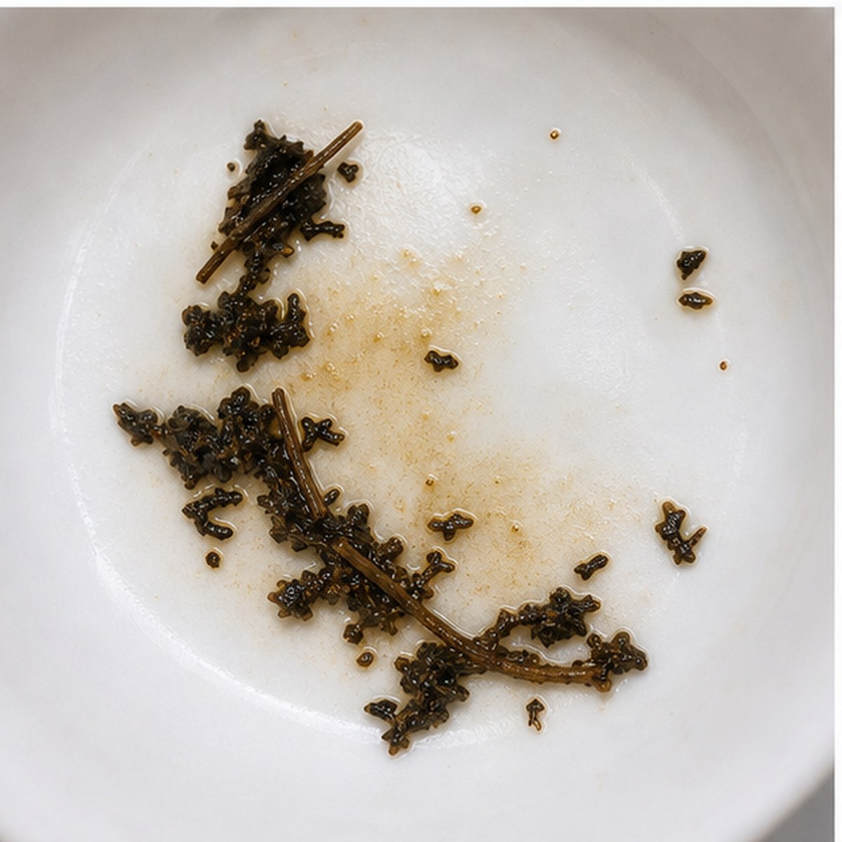 Scimitar tea leaves cup variation two