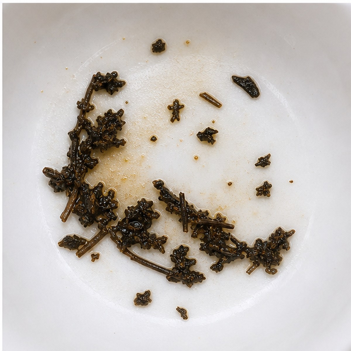 Scimitar tea leaves cup variation three