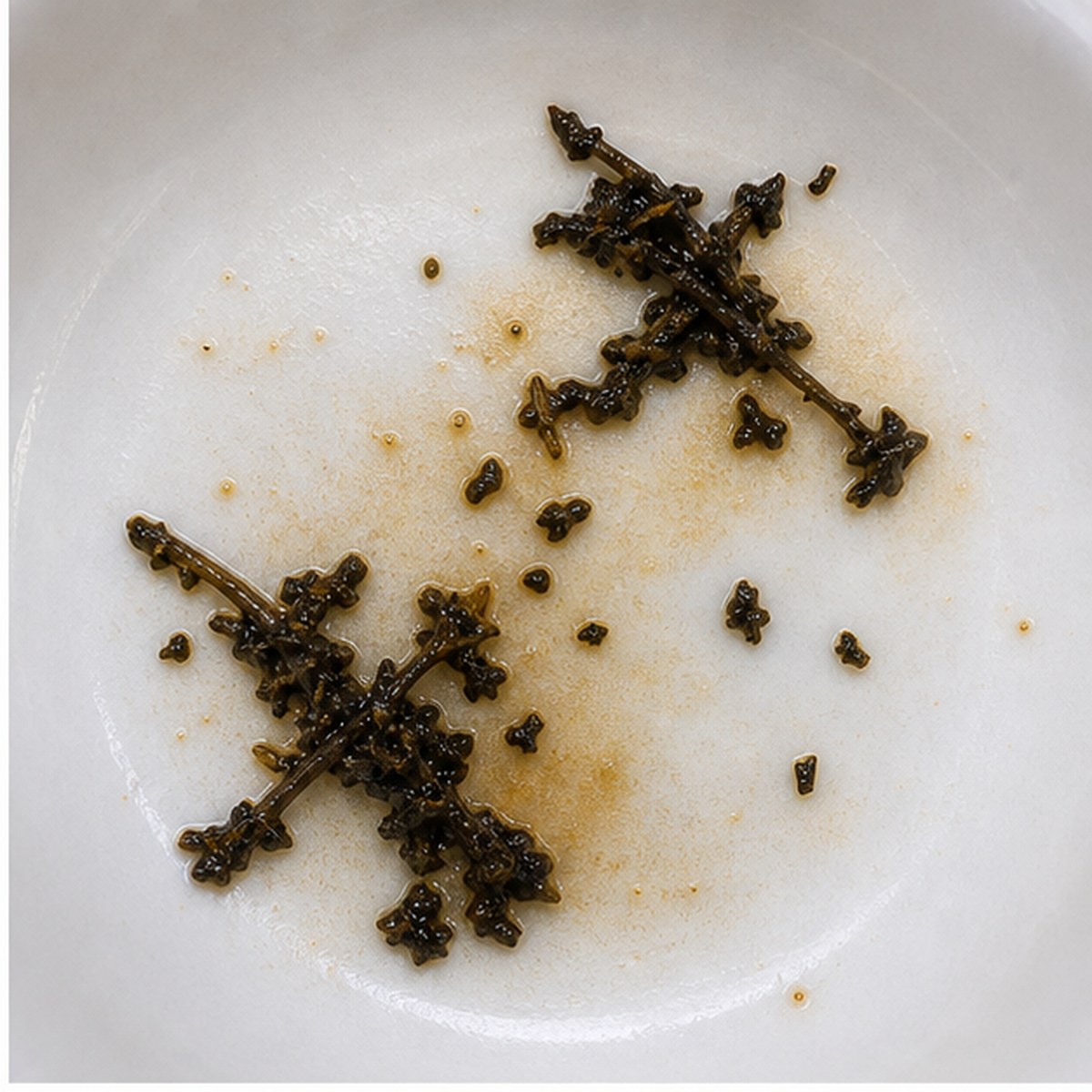 Scissors tea leaves cup variation one