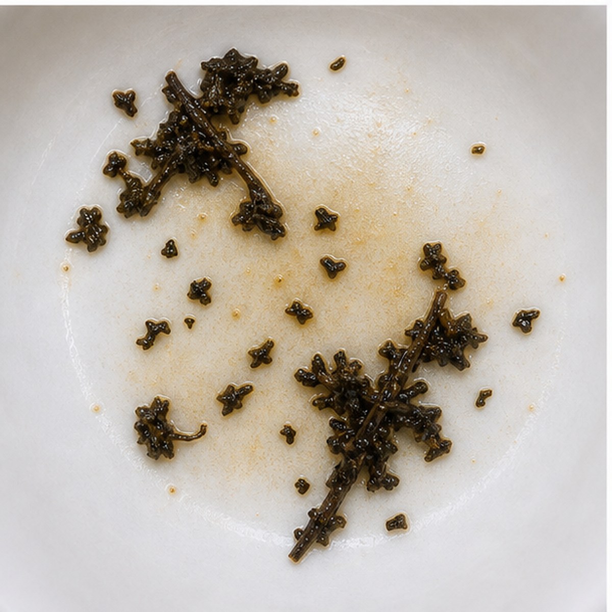 Scissors tea leaves cup variation two