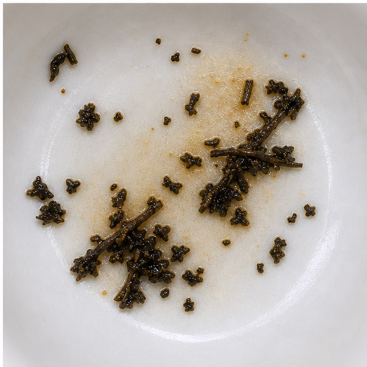 Scissors tea leaves cup variation three