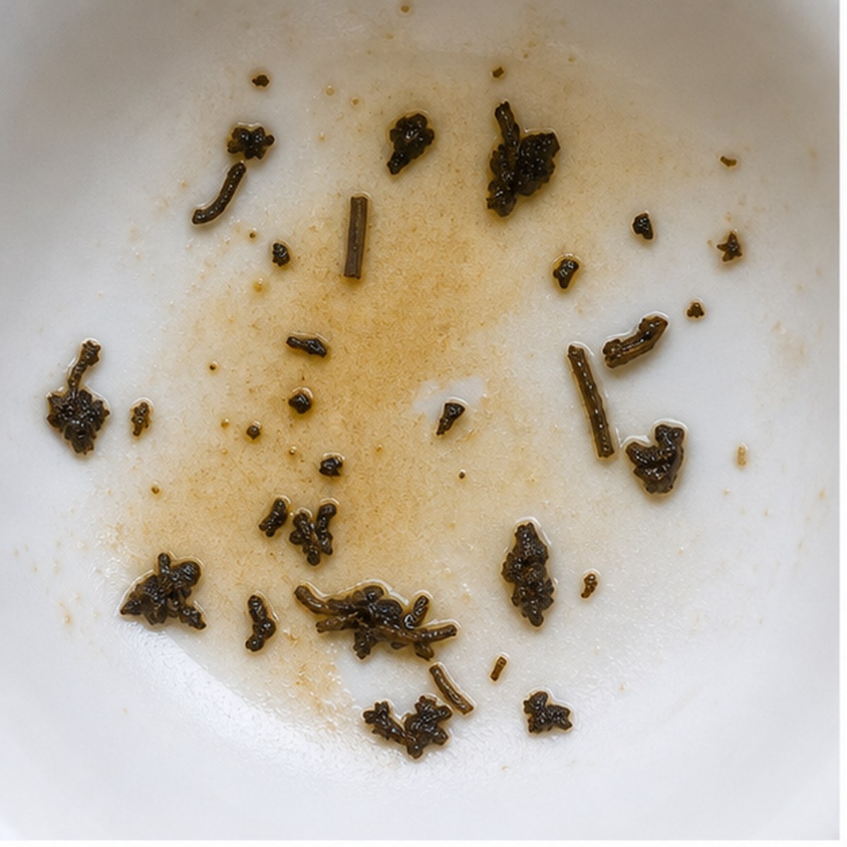 Seagull tea leaf reading cup example