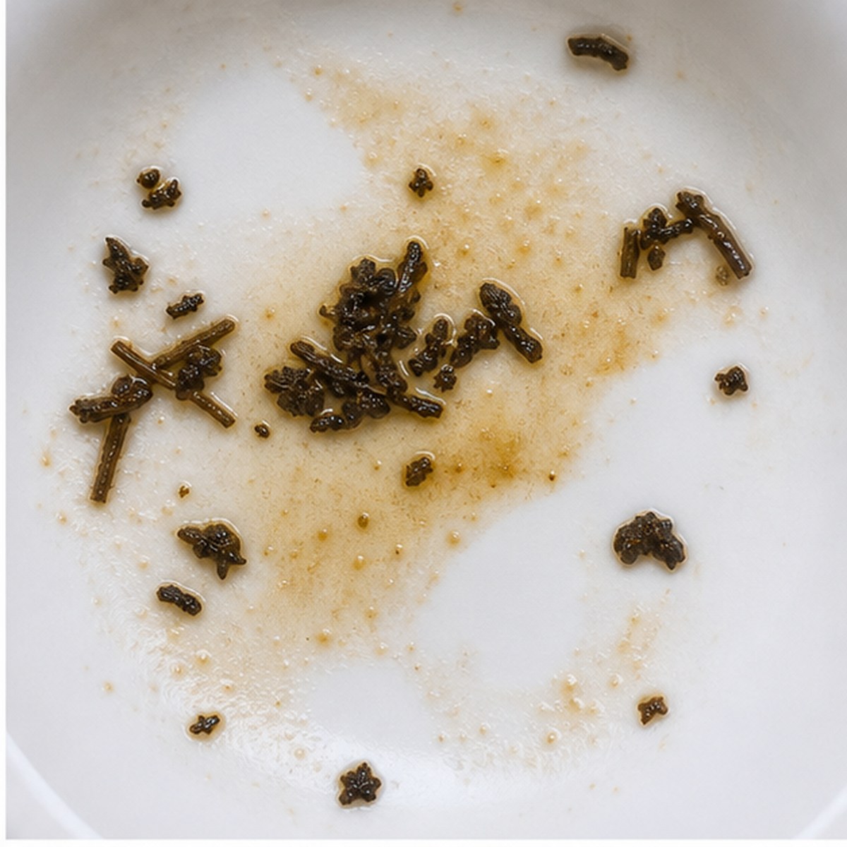 Seagull tea leaves cup variation one