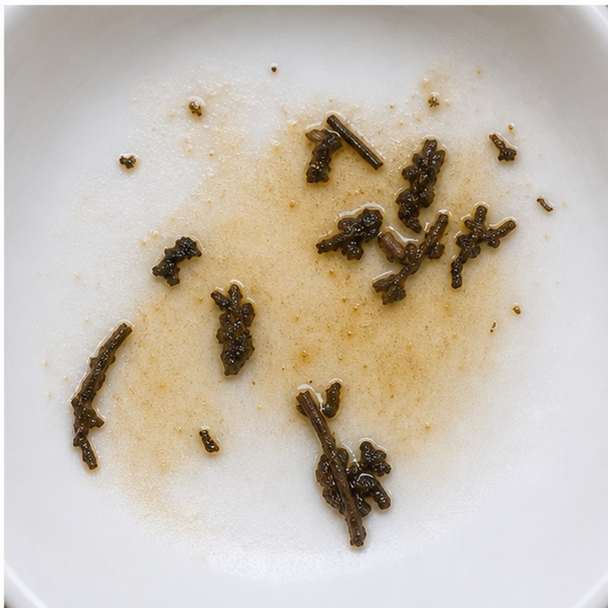 Seagull tea leaves cup variation three