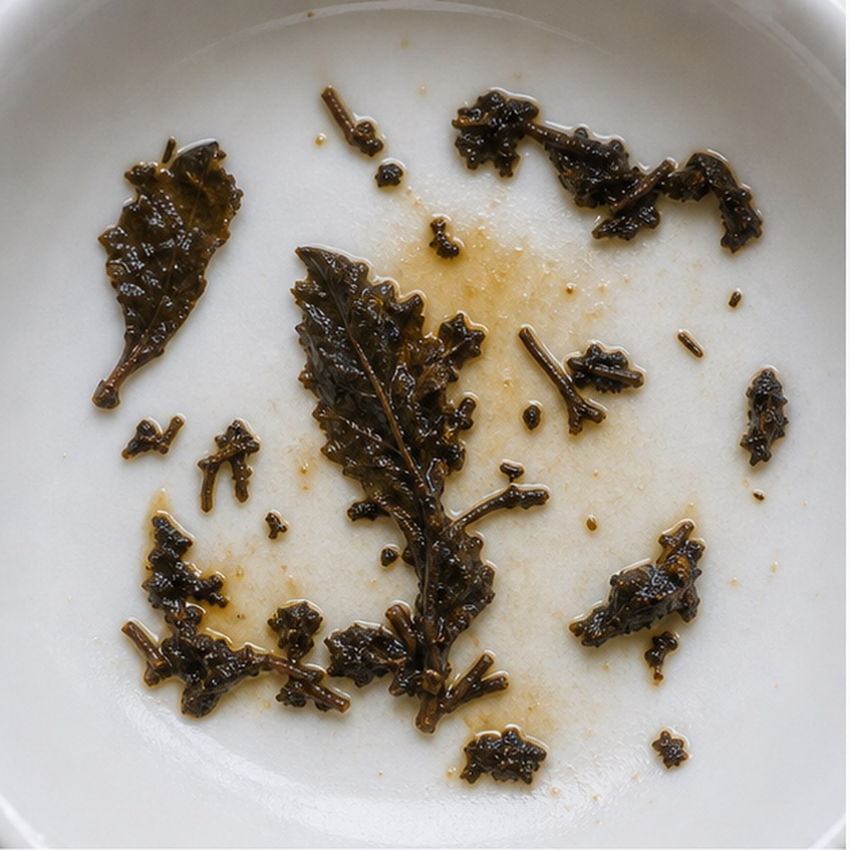 Seakale tea leaf reading cup example